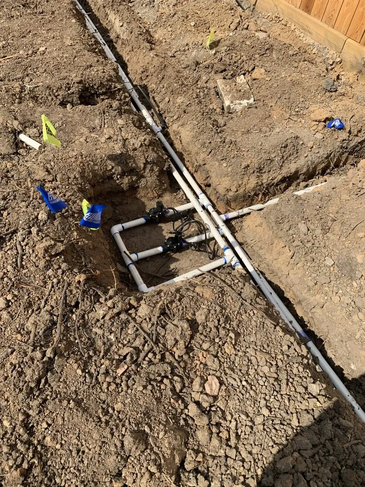 Expert landscaping services in Houston, TX - Texas Landscaping