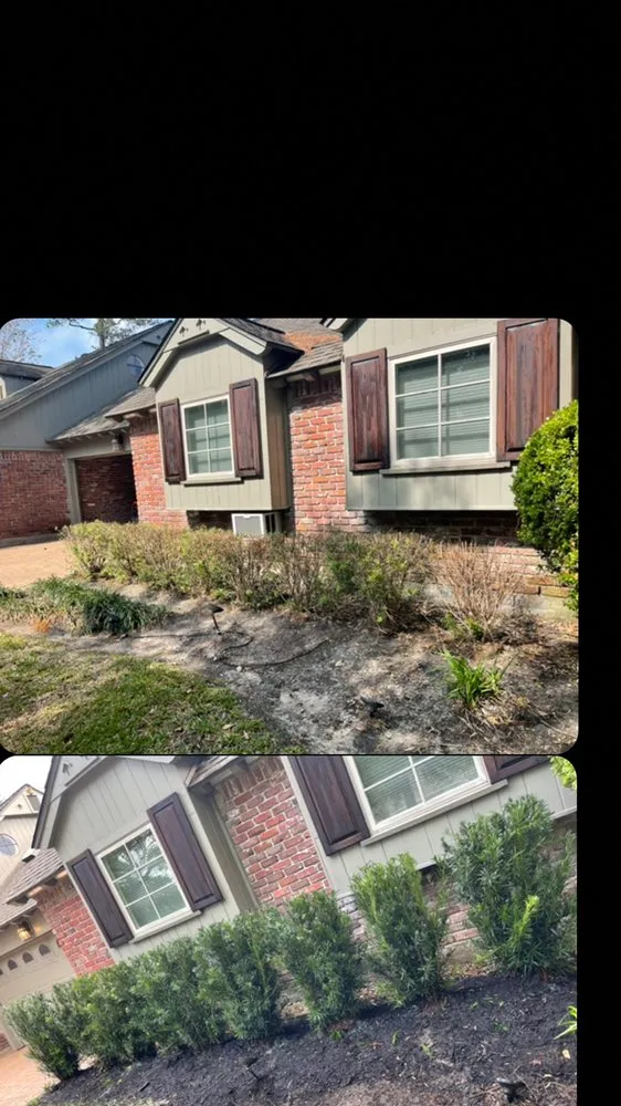 Professional yard cleanup service for year-round maintenance in Houston, TX by Texas Landscaping