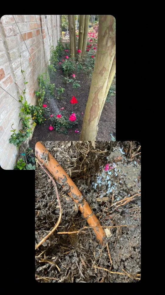 Reliable landscaping services with custom design in Houston, TX by Texas Landscaping