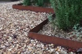 Affordable yard cleanup service in Austin, TX - Texas Landscaping Pros