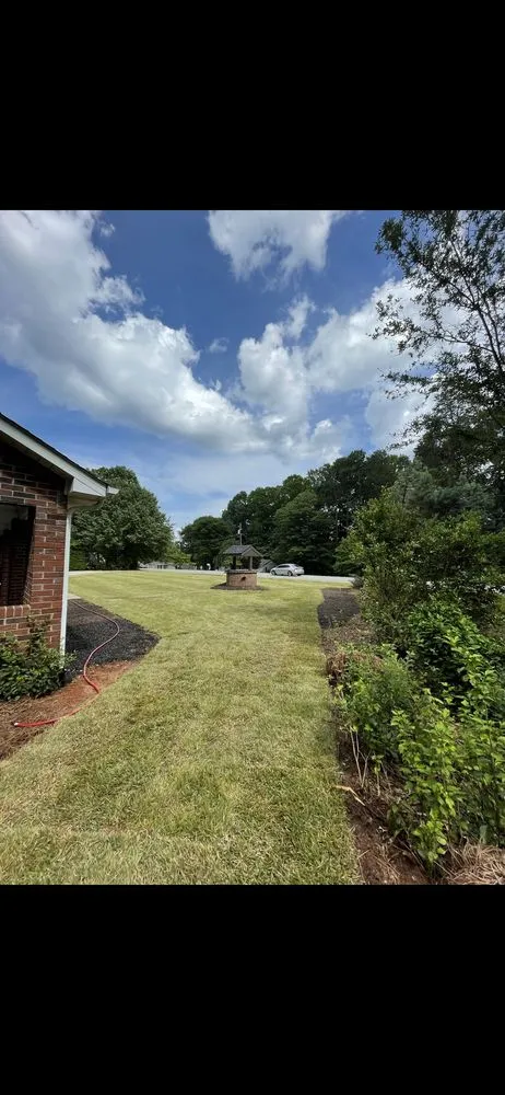 Reliable yard cleanup service in Austin, TX by Texas Landscaping Pros