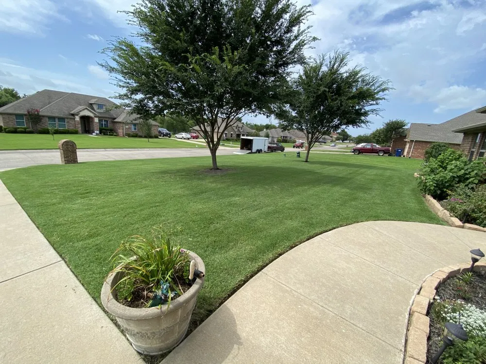 Local yard cleanup service in Royse City, TX - Texas Lawn & Order