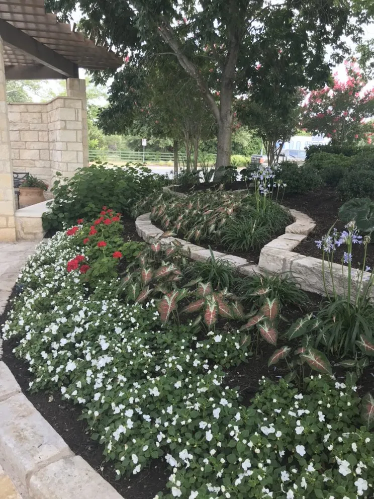 Trusted yard cleanup service for residential properties across Pflugerville, TX - Texas Lawn and Garden