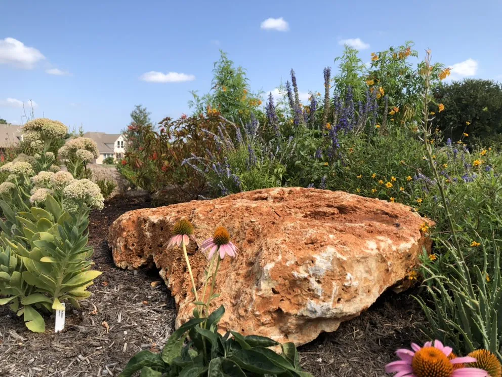 Reliable lawn mowing service in Pflugerville, TX - Texas Lawn and Garden