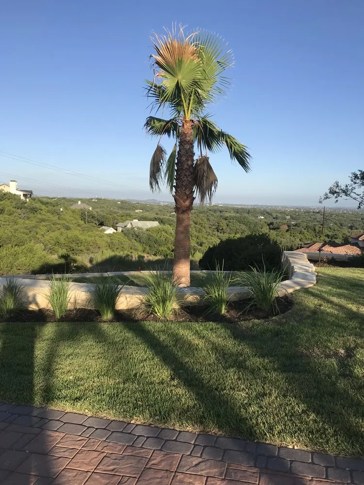 Reliable yard maintenance in Spicewood, TX by Texas Lawn Authority