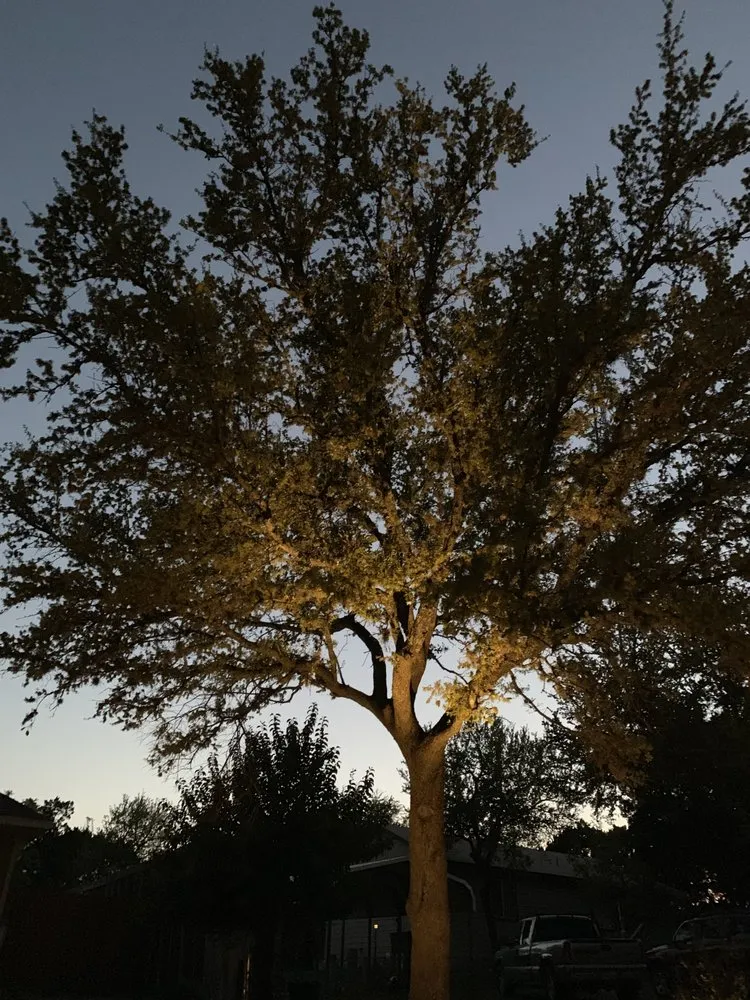 Top-rated landscape installation in Spicewood, TX by Texas Lawn Authority