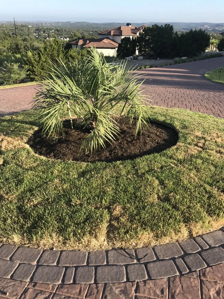 Custom lawn care service experts serving Spicewood, TX - Texas Lawn Authority