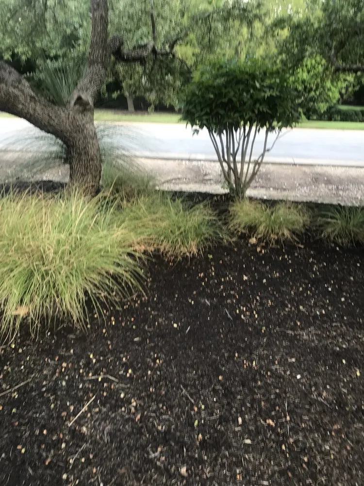 Trusted landscaping services in Spicewood, TX by Texas Lawn Authority
