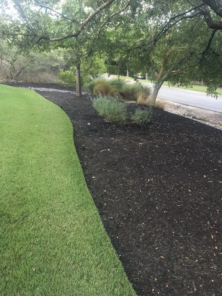Reliable yard cleanup service in Spicewood, TX - Texas Lawn Authority