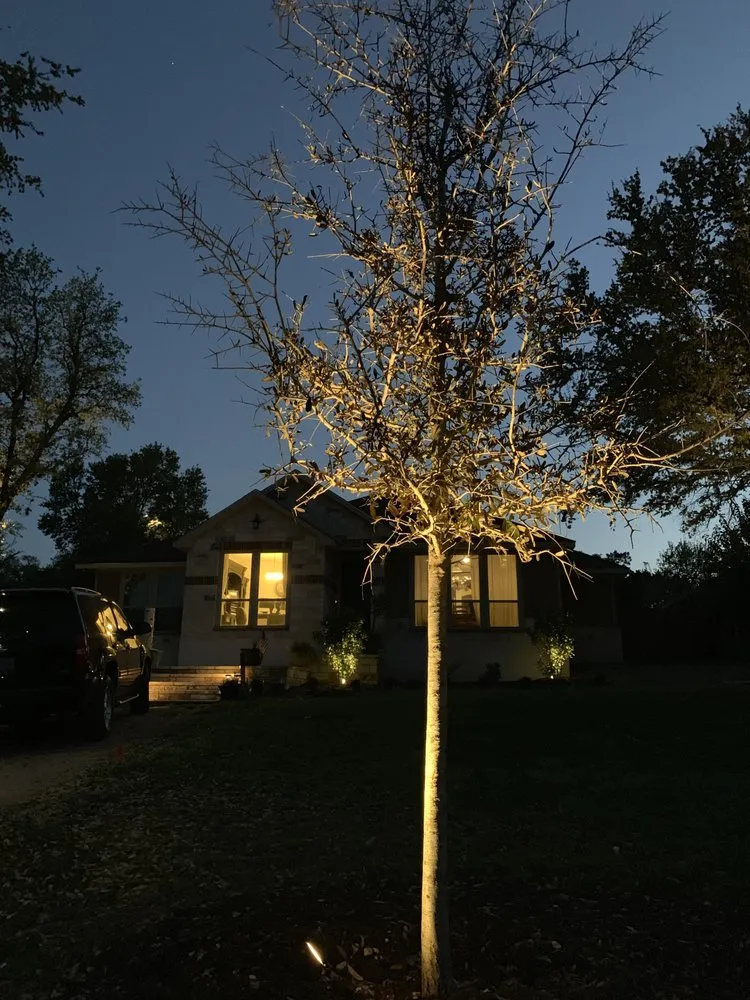 Affordable yard cleanup service in Spicewood, TX - Texas Lawn Authority