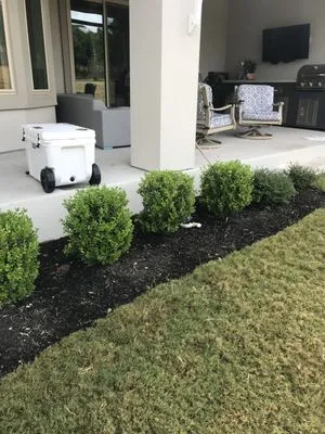 Texas Lawn Authority