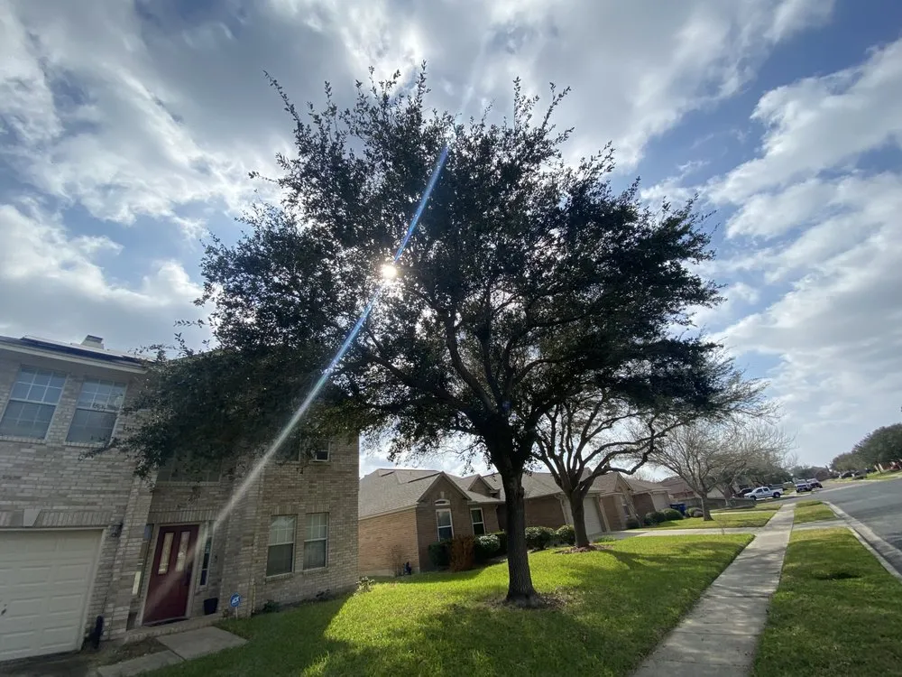 Trusted yard maintenance for beautiful yards across Corpus Christi, TX - Texas Lawn Care