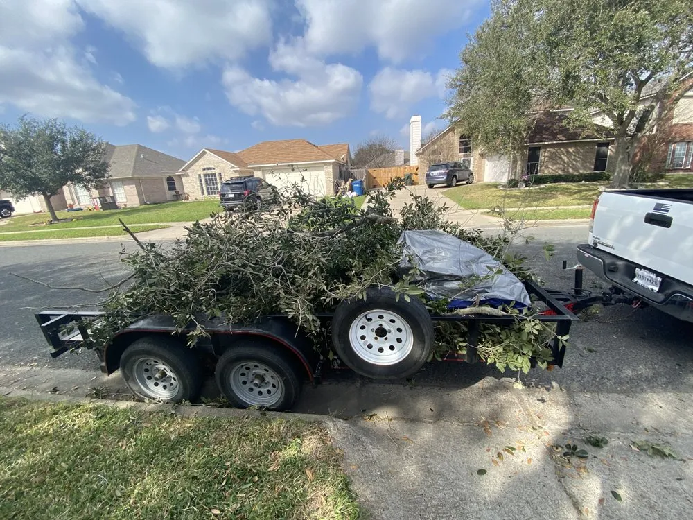 Reliable garden landscaping for outdoor upgrades across Corpus Christi, TX - Texas Lawn Care