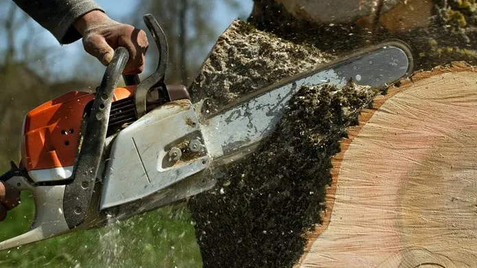 Custom landscape design for homes in Corpus Christi, TX by Texas Lawn Care