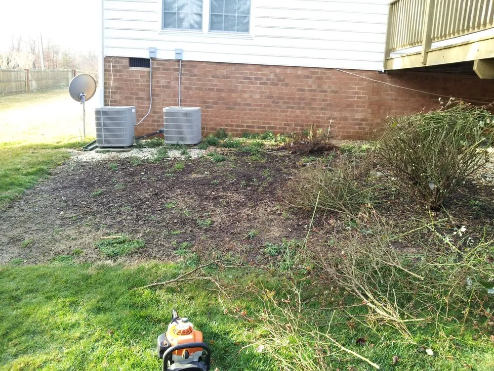 Professional yard maintenance in Richmond, VA - Texas Lawn Care