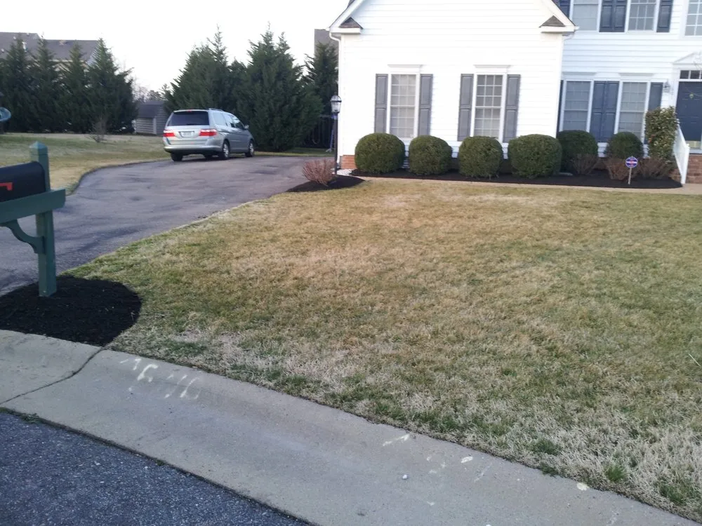 Expert yard maintenance for year-round maintenance across Richmond, VA - Texas Lawn Care