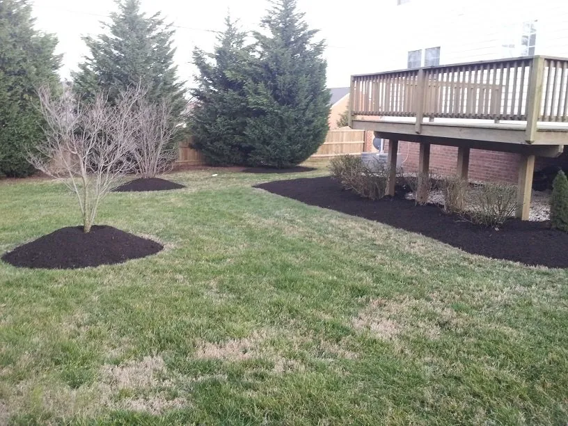 Top-rated landscape design in Richmond, VA - Texas Lawn Care