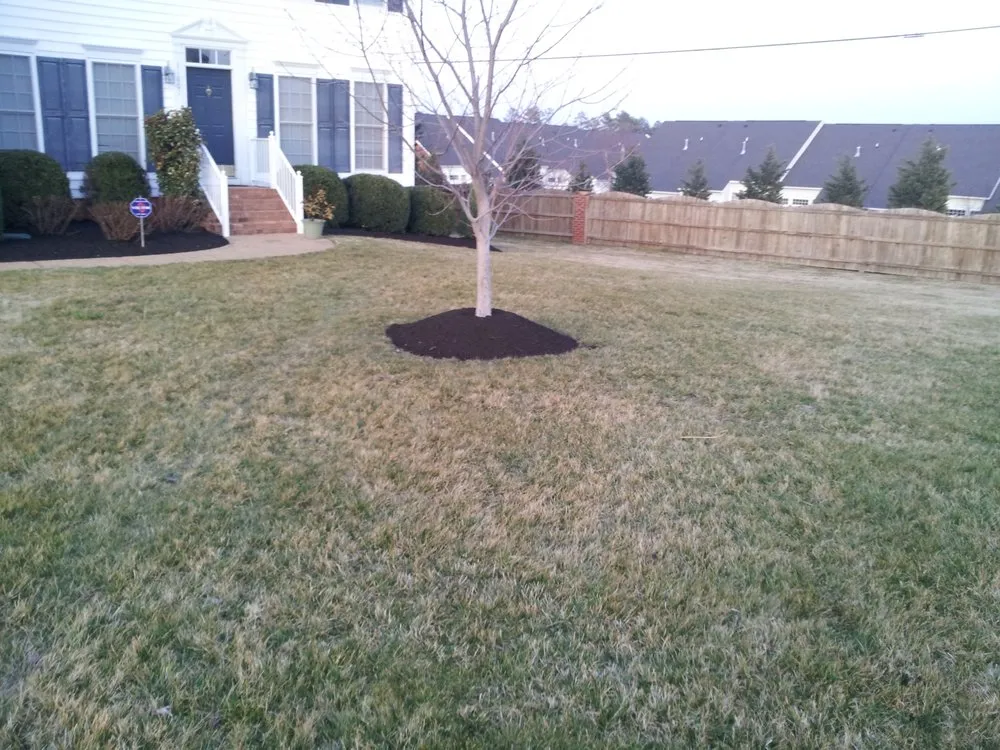 Reliable lawn care service for beautiful yards across Richmond, VA - Texas Lawn Care
