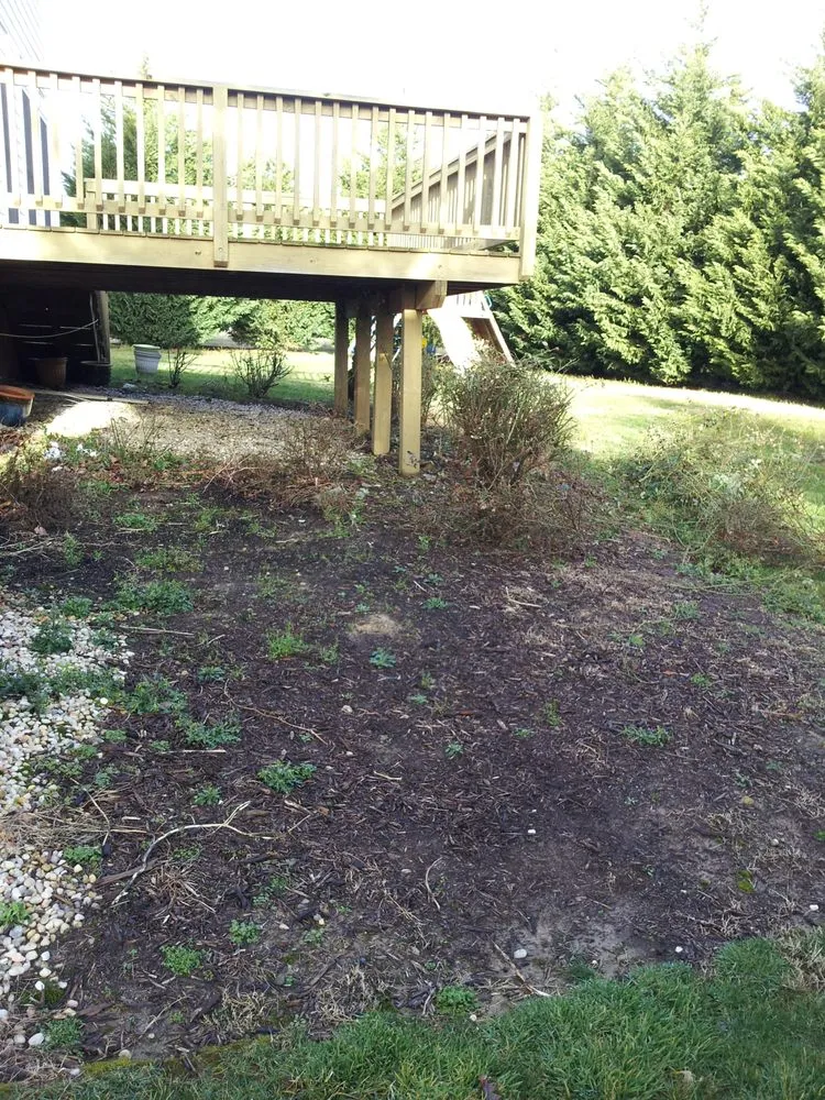 Reliable landscape installation experts serving Richmond, VA - Texas Lawn Care