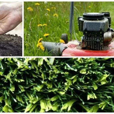 Trusted lawn care service for beautiful yards in Richmond, VA by Texas Lawn Care