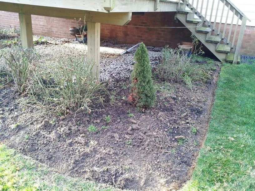 Expert lawn mowing service for year-round maintenance across Richmond, VA - Texas Lawn Care