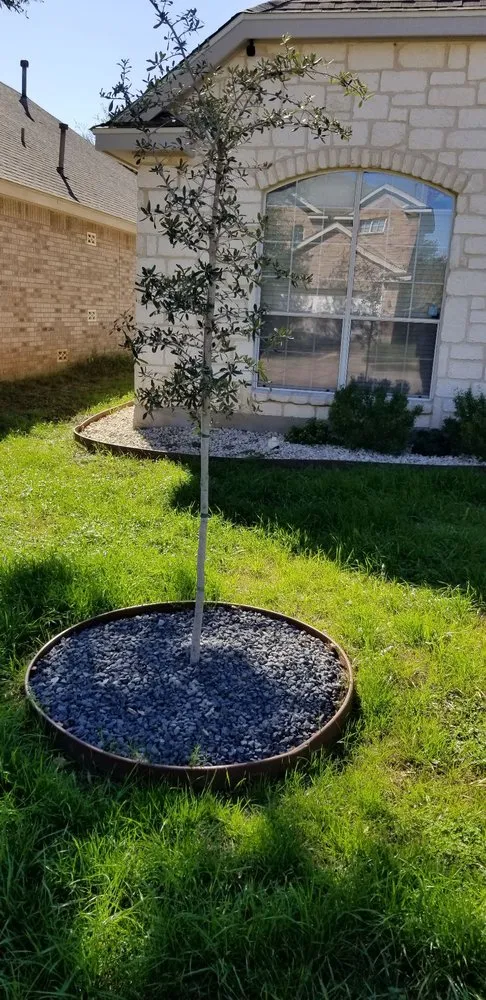 Trusted landscaping services for outdoor upgrades in San Antonio, TX by Texas Lawn Care