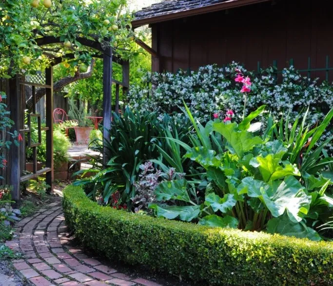 Expert lawn mowing service experts serving San Antonio, TX - Texas Lawn Care