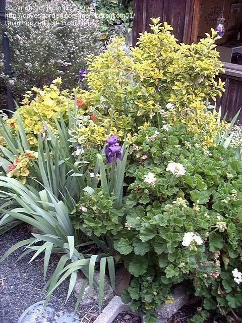 Expert lawn mowing service for residential properties in San Antonio, TX by Texas Lawn Care