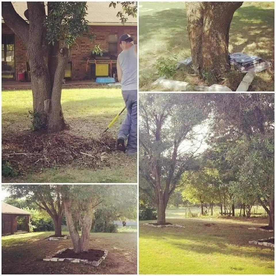 Affordable landscape design in Alvarado, TX by Texas Lawn Hawgs