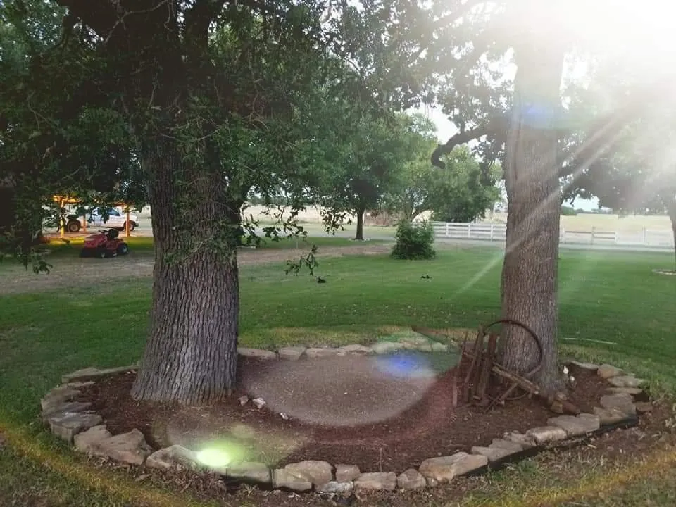 Professional yard cleanup service experts serving Alvarado, TX - Texas Lawn Hawgs