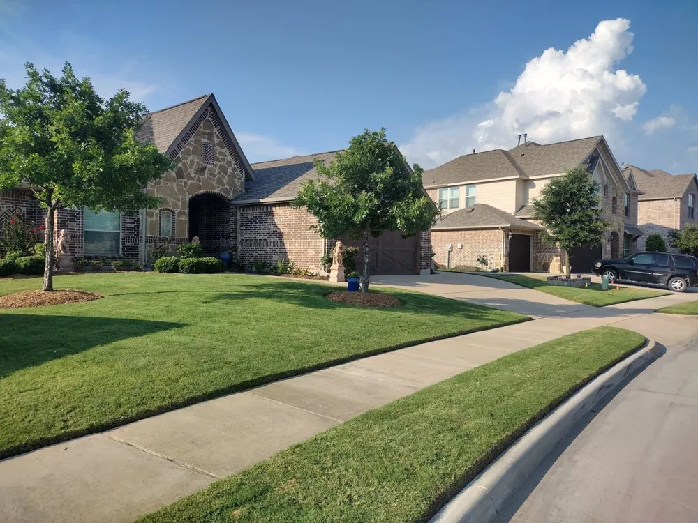 Expert yard cleanup service in Venus, TX - Texas Lawn in Order