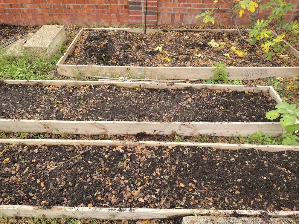 Custom lawn mowing service in Venus, TX by Texas Lawn in Order