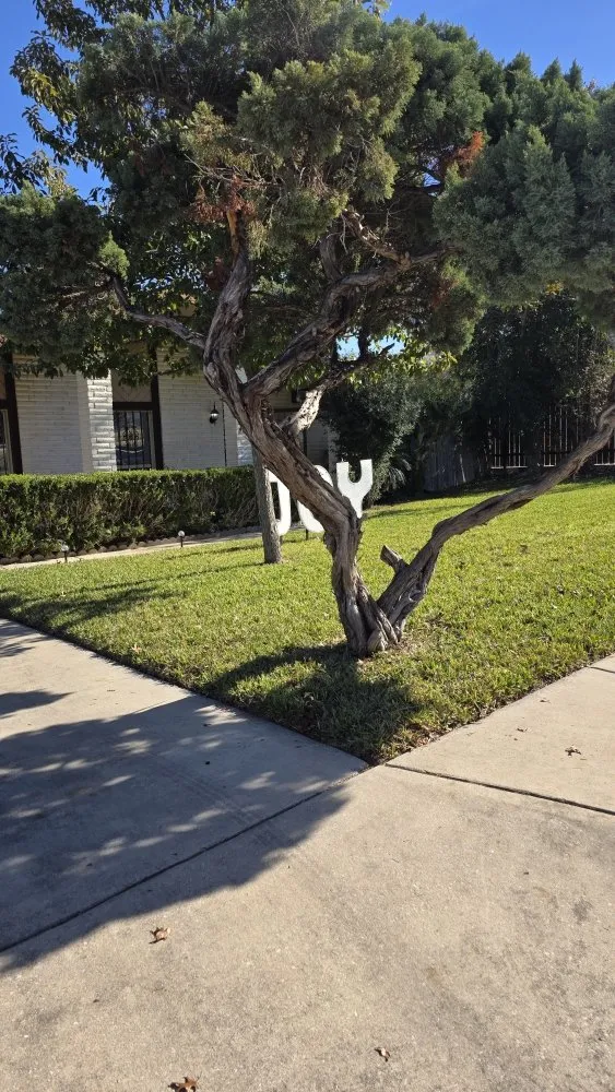 Affordable landscape design near you across San Antonio, TX - Texas Lawn Pro Solutions