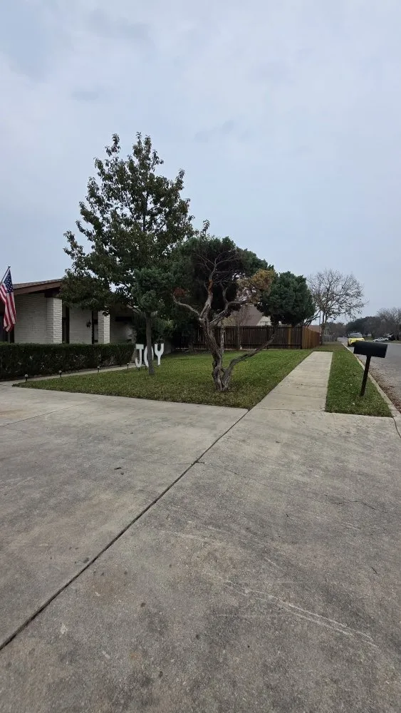 Affordable yard maintenance experts serving San Antonio, TX - Texas Lawn Pro Solutions