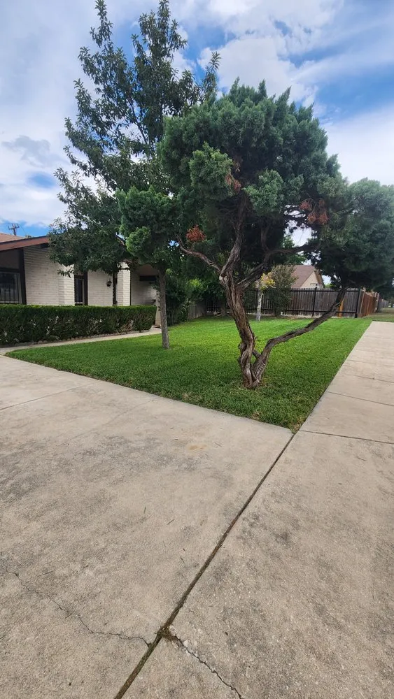 Local landscape installation in San Antonio, TX - Texas Lawn Pro Solutions