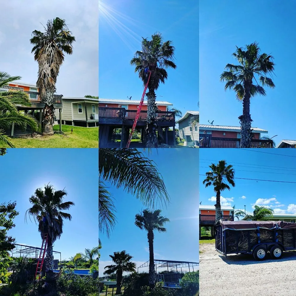 Local residential landscaping experts serving Aransas Pass, TX - Texas Lawn Pros