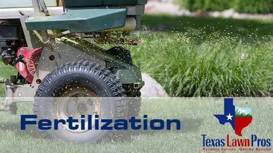 Custom residential landscaping experts serving Aransas Pass, TX - Texas Lawn Pros