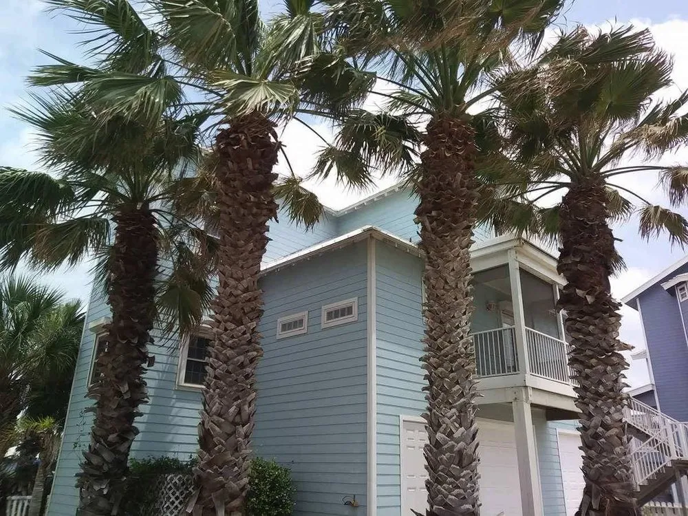 Custom lawn mowing service in Aransas Pass, TX - Texas Lawn Pros