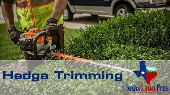Local yard maintenance in Aransas Pass, TX - Texas Lawn Pros