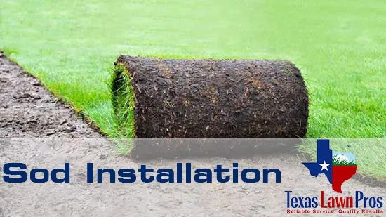 Expert yard maintenance for homes across Aransas Pass, TX - Texas Lawn Pros