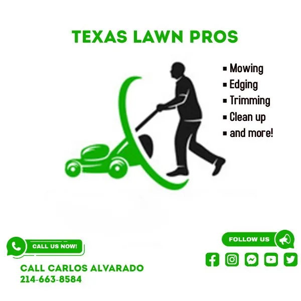 Local yard maintenance with custom design in Arlington, TX by Texas Lawn Pros