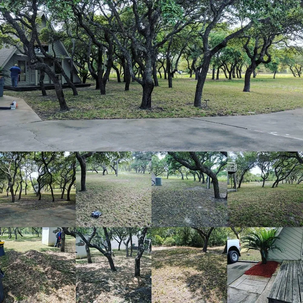 Top-rated garden landscaping experts serving Portland, TX - Texas Lawn Pros