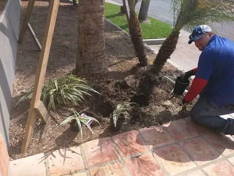 Local lawn care service in Portland, TX - Texas Lawn Pros