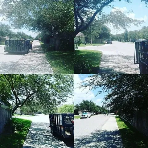 Affordable residential landscaping experts serving Portland, TX - Texas Lawn Pros