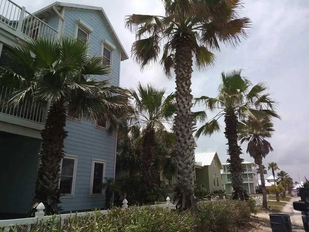 Top-rated outdoor landscaping with custom design across Portland, TX - Texas Lawn Pros