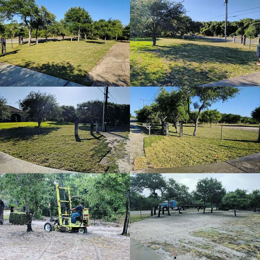Expert garden landscaping for year-round maintenance in Rockport, TX by Texas Lawn Pros