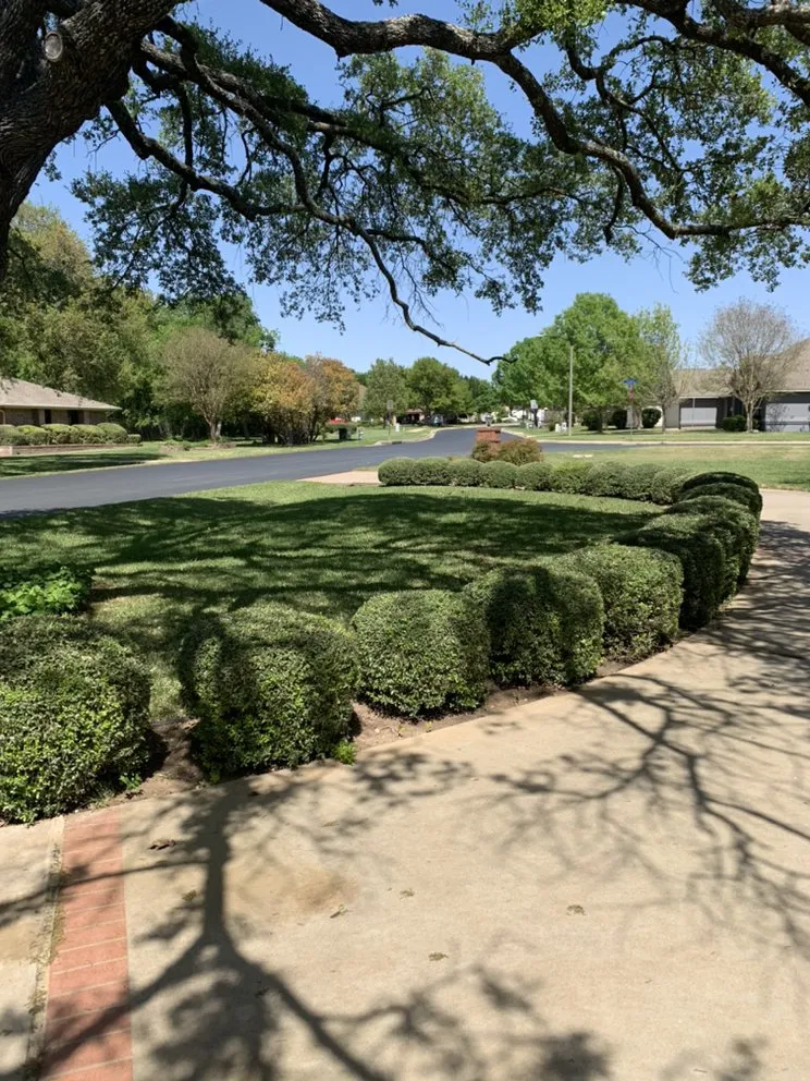 Professional lawn care service in Georgetown, TX by Texas Lawn Service & Landscapes