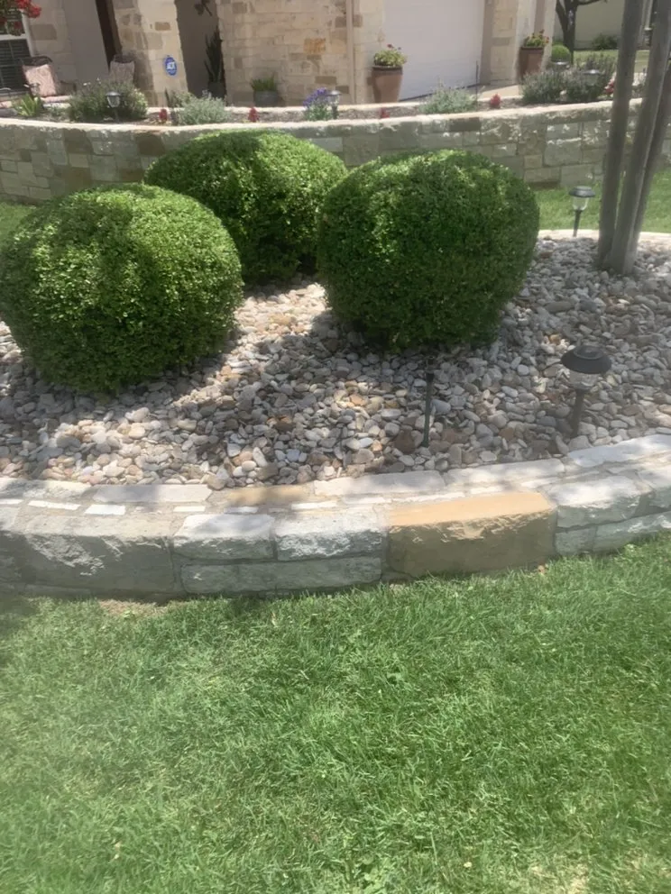 Top-rated yard cleanup service with custom design across Georgetown, TX - Texas Lawn Service & Landscapes
