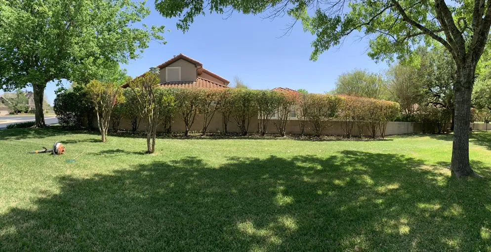 Expert yard cleanup service experts serving Georgetown, TX - Texas Lawn Service & Landscapes