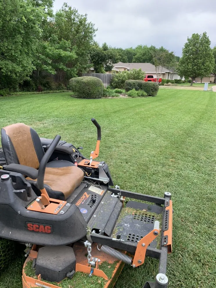 Professional yard cleanup service in Georgetown, TX by Texas Lawn Service & Landscapes